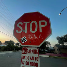 Load image into Gallery viewer, "S.I.N" Emblem Premium Vinyl Sticker