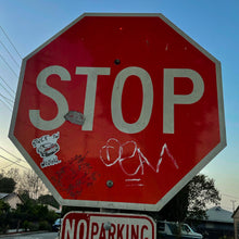 Load image into Gallery viewer, "240sx" Premium Vinyl Sticker